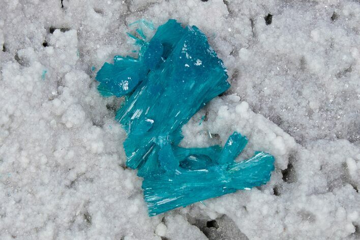 Vibrant Blue Cavansite Crystals on Sparkling Stilbite - India #340990